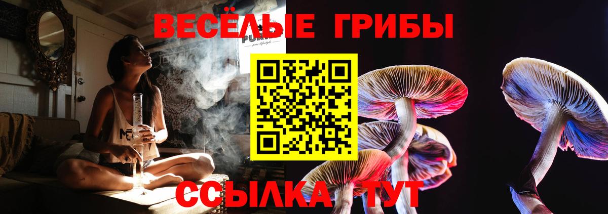 Хабаровск  Галлюциногенные грибы прущие грибы  Вход с VPN 